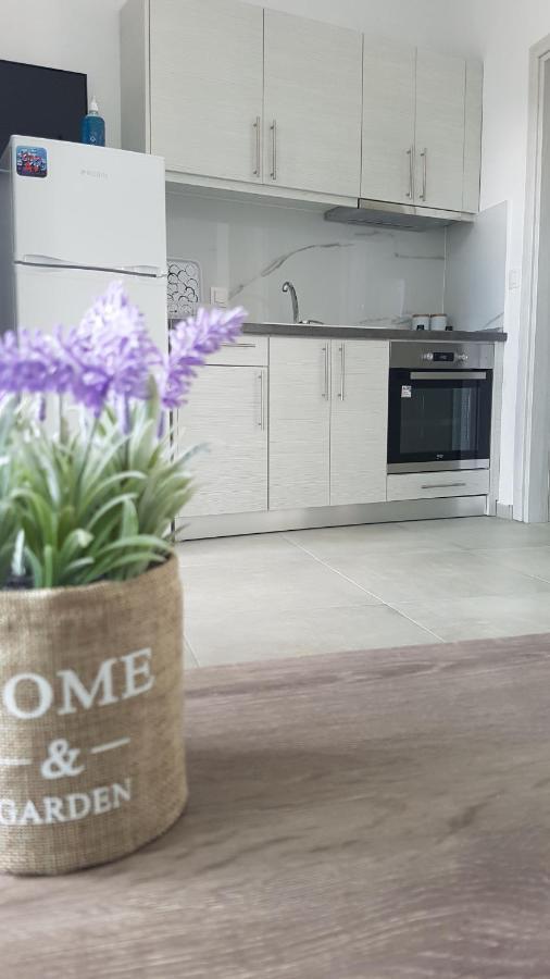 Erika Boutique Apartments 尼基季 外观 照片